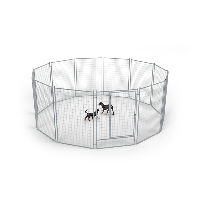 Hundarnas Flexygård 16 kvm