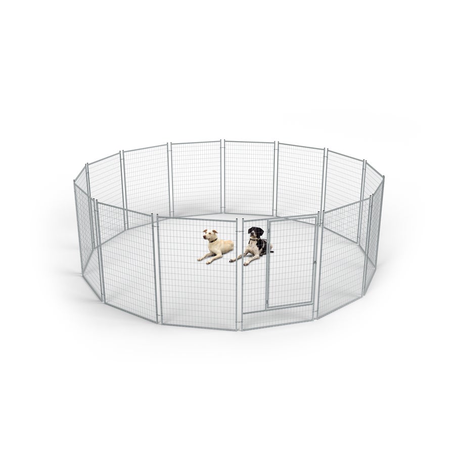 Hundarnas Flexygård 22 kvm